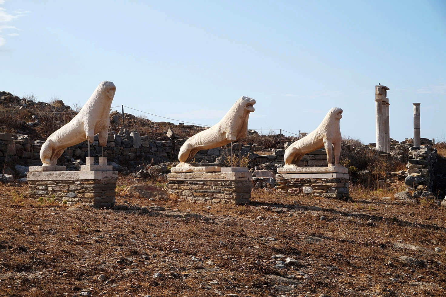 Delos Lions