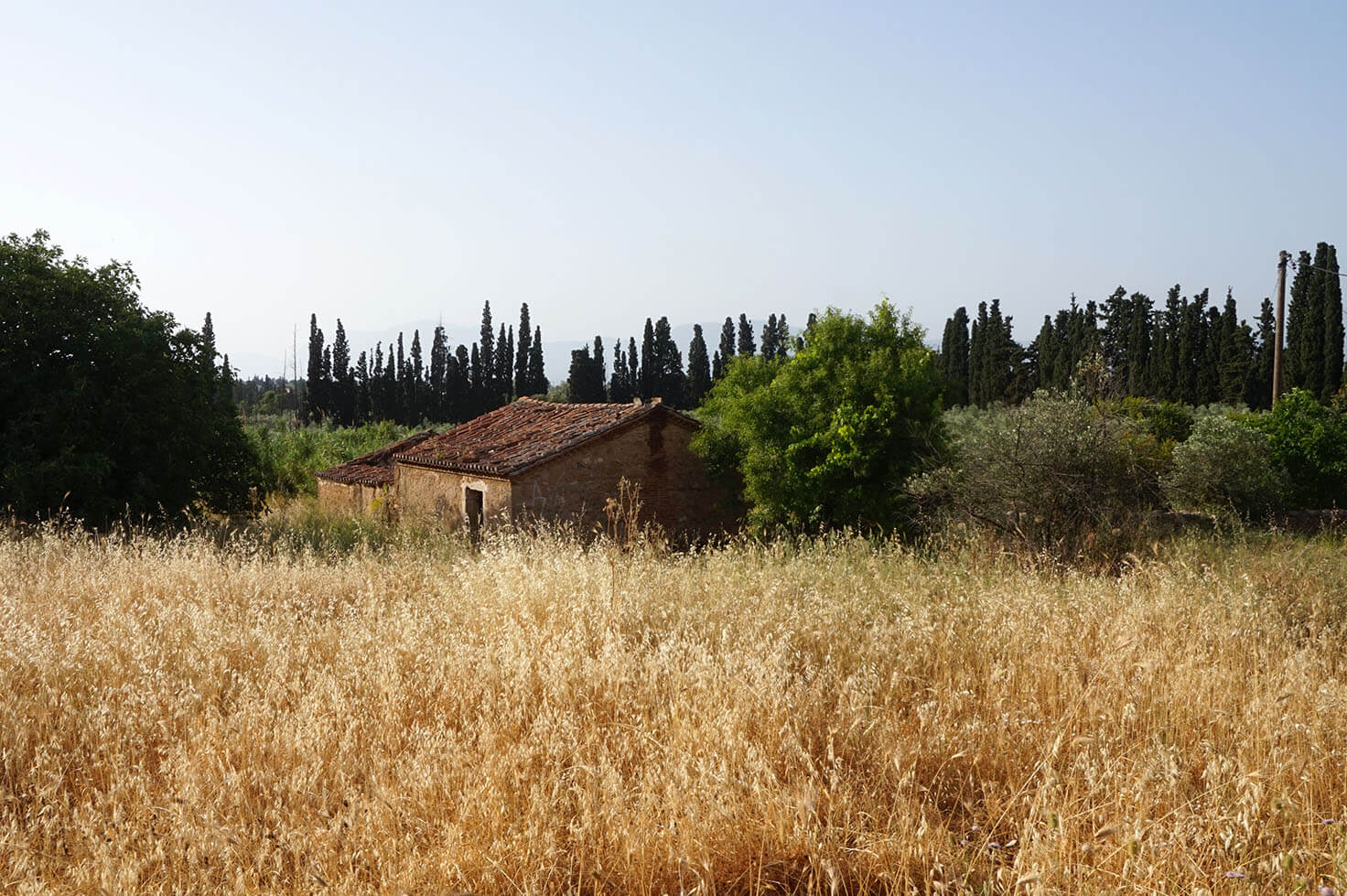 House in the fields